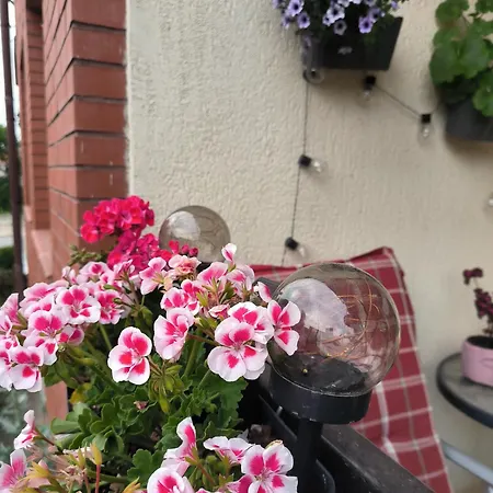 Apartament 25