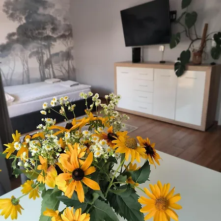 25 Apartment Mikolajki (Mragowo)